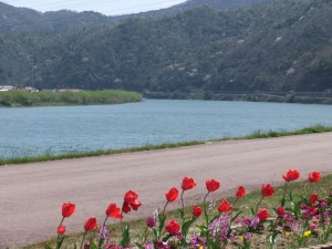 DSCF1397a